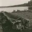 Stocköka av fur uppdragen på stranden år 1933. Längd 6,5 meter. Bredd i aktern 0,62 meter. Akterrummet 53 cm. 3,5 cm fals i fören. 182 cm från yttersta föränden.