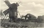 Vykort med motiv av en stubbkvarn på Öland.