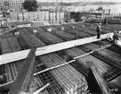 Byggherre: Byggnadsaktiebolaget Contractor, Stockholm. Dubbelviadukten vid Slussen. Norra sidan av undre däcket omedelbart före gjutningens påbörjan den 2 oktober 1932.