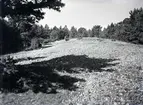 Forntida strandvall på bergsplatån.