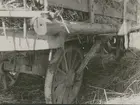 Höhäck (vagn för att köra hö).