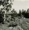 Gravfält på berget 300 meter sydost om Lund, mitt för Gladhammars kyrka. De stora rösena längst i söder.