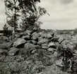 Gravfält på berget 300 meter sydost om Lund, mitt för Gladhammars kyrka. 
De stora rösena längst i söder.