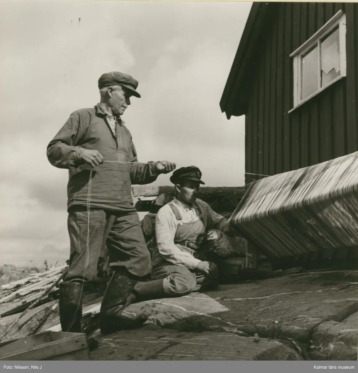 Isak Andersson och sonen Gunnar vevar upp abborrev till tork. Väderskär i Loftahammars socken.