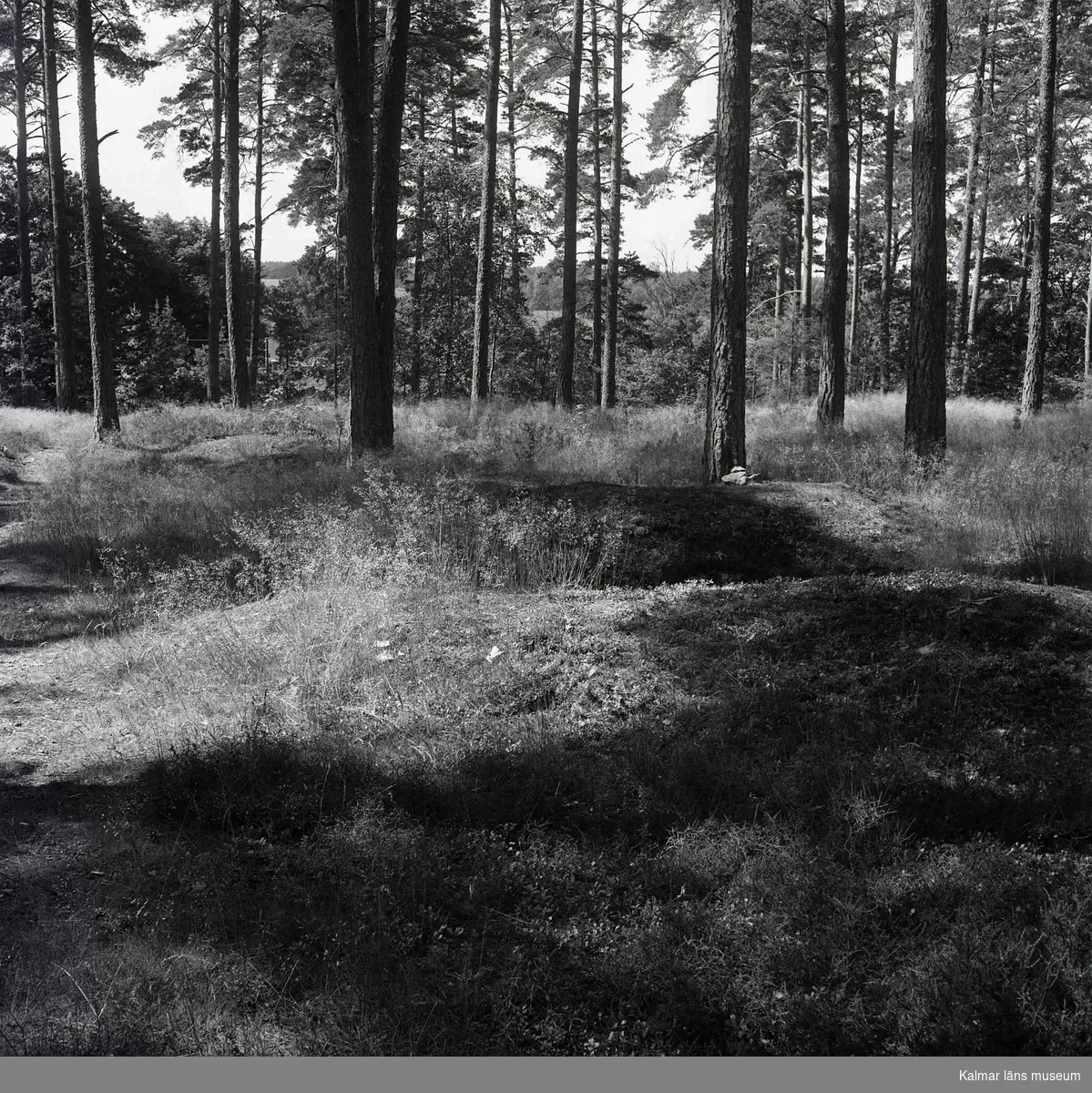 Stensättning i skogen i Lofta.