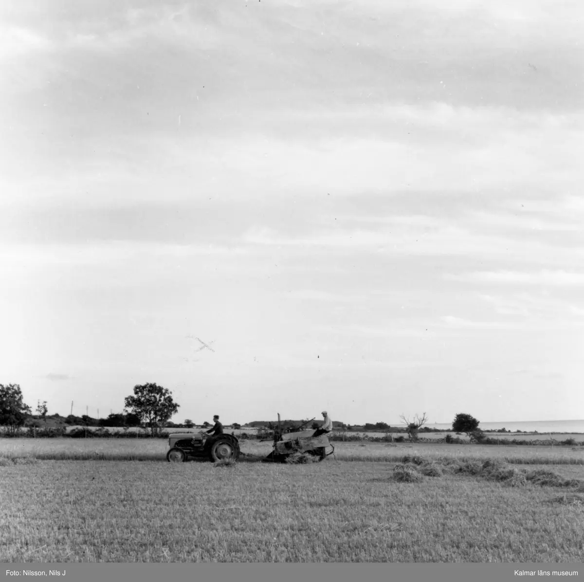 Kornskörd med traktor och skördemaskin.
