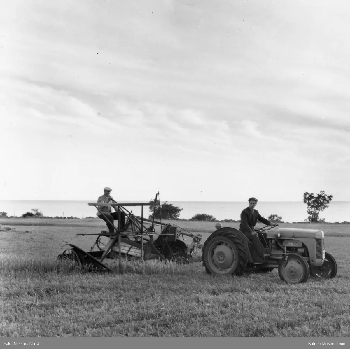 Kornskörd med traktor i Albrunna.