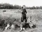 Gustav V med gevär i handen vid nedlagd älg i Böda på Öland.