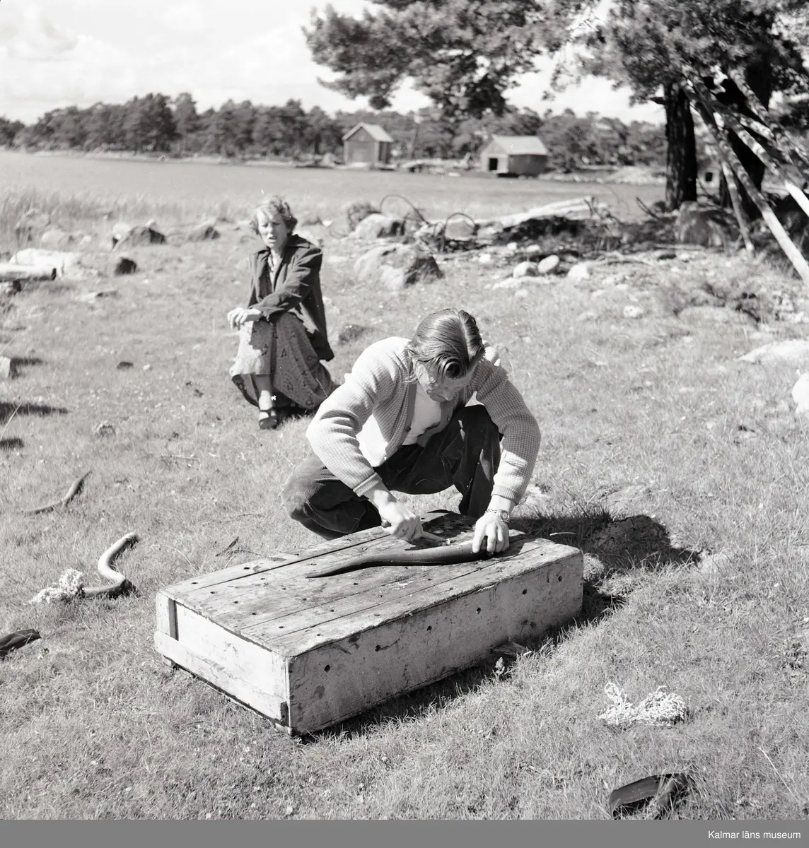 John Gunnar Lindström rensar ål vid Bytteskär på Vållö. Hans mor Ebba, född Lundqvist, ses i bakgrunden.