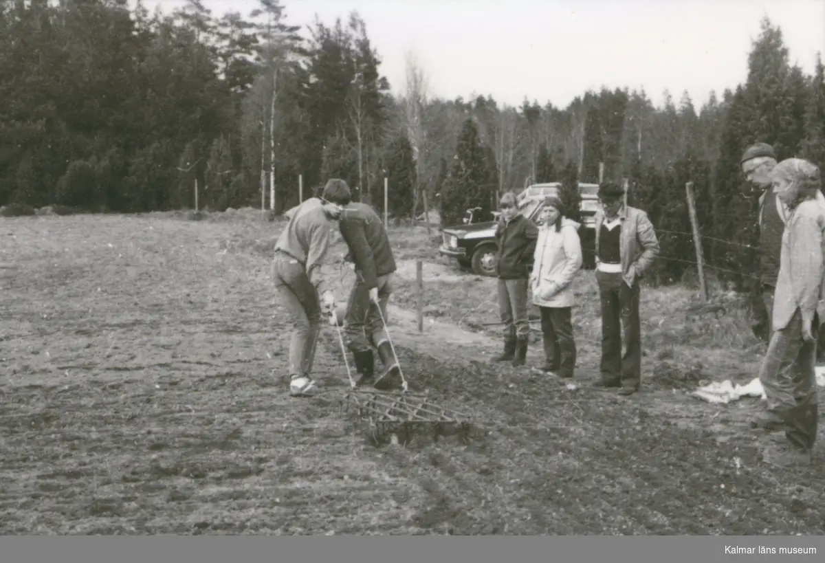 Harvning på Misterhults hembygdsgård.