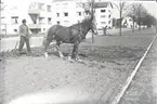 Publicerad i Barometern 1938. Iordningställande av mittrefug på Erik Dahlbergs väg.