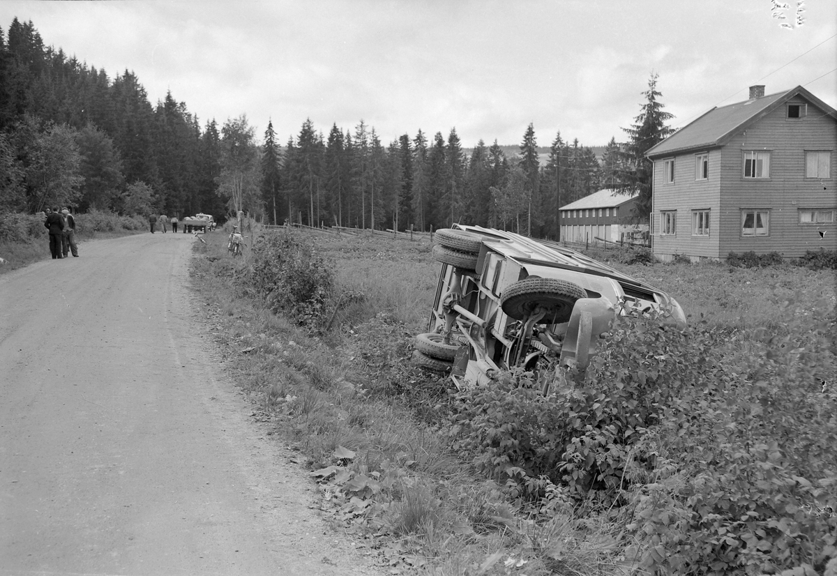 Bussvelt ved Voldmo i Melhus