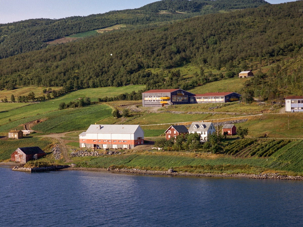 Flyfoto fra Trastad.