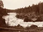 Krångforsen i Skellefte älv.