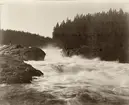 Fällforsen vid Uman, 15 kilometer ovanför Vännäs, 1906. Fotosignatur MSG.