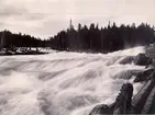 Holaforsen i Ångermanälven, Ådalslidens socken, Ångermanland, 1898.