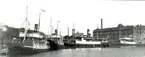 Ångbåtar (Kalmarsundsfärjor ) med vimplar i Ölandshamnen utanför margarinfabriken i Kalmar. Nuvarande Baronens köpcentrum medan hamnen är Kalmar gästhamn.