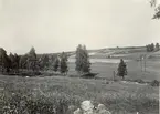 Gärdsgård skog och åkermark vid Emån, mellan Högsby och Fågelfors.