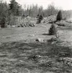 Ängsmark vid en gammal boplats vid landsvägen mellan Hökfors och Sandslätt.