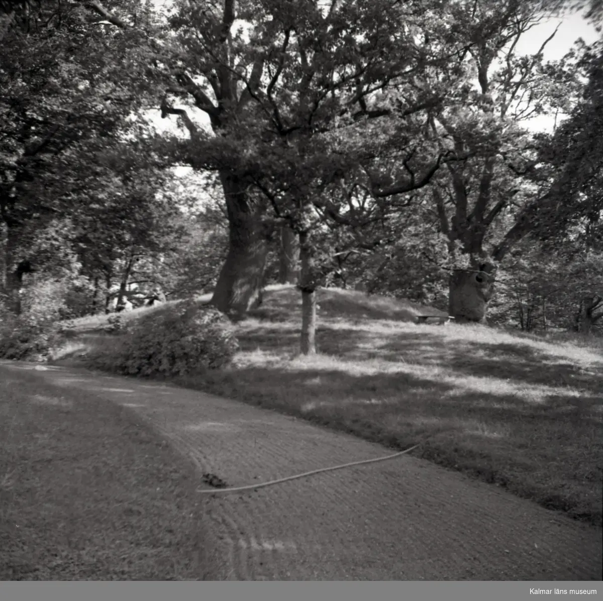 Källarkullen i Kölby park.