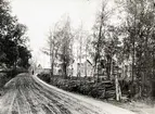 Vy i Alsterbro med fotograf Charles Karlssons hus närmast. På landsvägen syns en person 