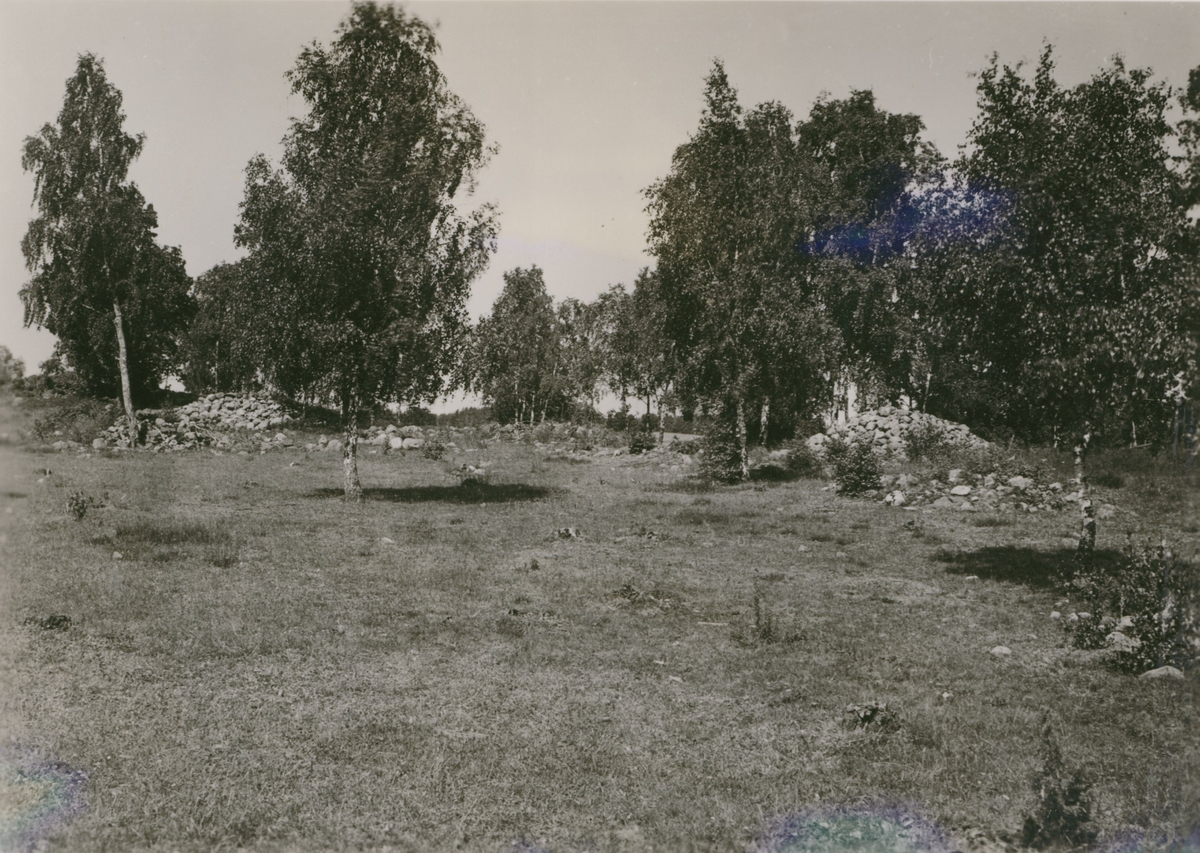 Fornlämning vid Knapegården,  Skjutshagen.