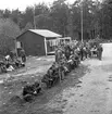 ÖK:s korpskytte.
Maj 1956.