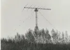 Kråks radiostation Karlsborg 1964. Vridlogantenn 30 KW Telefunken.