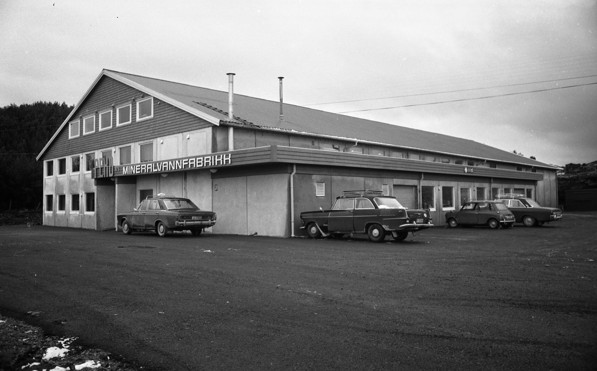 Peko brusfabrikk på Krossleite i Sveio. Eksteriør og interiørbilder av brusfabrikken. Arbeiderne er travelt opptatt med brusproduksjonen.