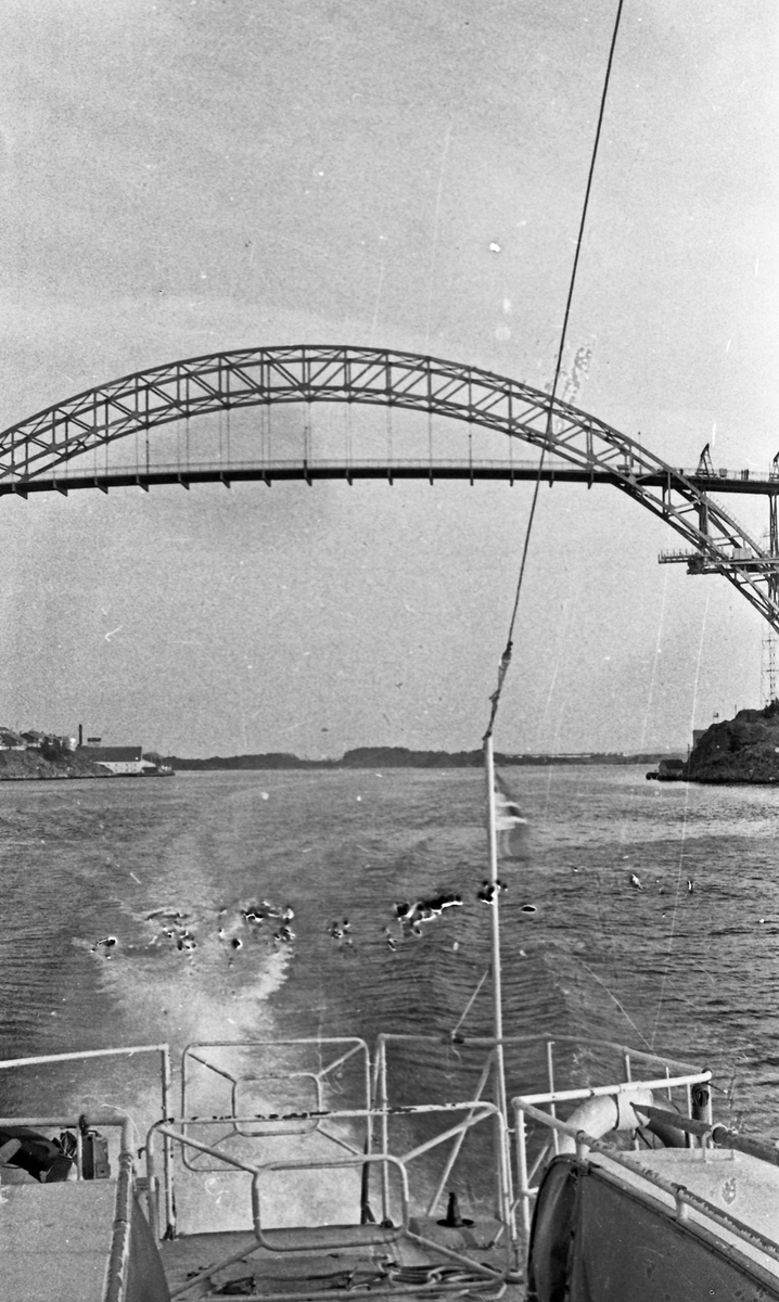 Westamaranen "Tryving". DSD-bygget og ferjen "SKUDENES" i bakgrunnen. Fra kaien i Stavanger under Karmsund bro og gjennom Karmsundet til Haugesund.