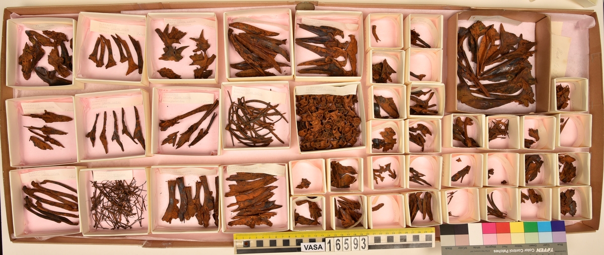 Ben från långa (Molva molva).
274 ben utöver en mängd av oräknade fenstrålar (lepidotrichia) och fenbärare (pterygiophori).
Benen består av 171 ben från olika huvuden och 103 från bål och stjärtar:
73 stjärtkotor (vertebrae caudales),
30 revben (costae),
12 (6+6) cleithra,
8 (5+3) praeopercularia,
7 (4+3) praemaxillaria,
7 (5+2) maxillaria,
7 (5+2) quadrata,
7 (4+3) dentalia,
7 (4+3) supracleithralia ventr.,
6 frontalia,
6 (4+2) ectopterygoidea,
6 (5+1) hyomandibularia,
6 (4+2) articularia,
6 (3+3) keratohyalia,
6 (4+2) scapulae,
5 ectehmoidalia,
5 (2+3) prootica,
5 lacrymalia,
5 (2+3) opercularia,
5 (2+3) interopercularia,
5 (4+1) palatina,
5 epihyalia,
4 (3+1) parietalia,
4 (1+3) pterotica,
4 supraoccipitalia,
4 vomeres,
3 (2+1) sphenotica,
3 exoccipitalia,
3 parasphenoidea,
3 supracleithralia dors.,
3 basipterygia,
2 mesethmoidalia,
1 intercalare,
1 infraorbitale post.,
1 symplecticum,
1 epioticum,
1 epibranchiale,
1 basihyale,
1 coracoideum.