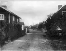 Parti från Åsen, genomfartsvägen genom samhället, omkr 1924. Neg och glasneg finns. Förstoring 25 x 40 cm. Foto: A Sjöberg.