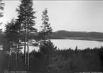 Mölltorp, parti av Kopparsjön. Neg och glasneg finns. Foto: Alfred Sjöberg.