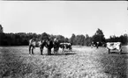 Axel Pettersson, Vieholmen. Arrenderade tills 1923 då han flyttade till Nygården i Floby.