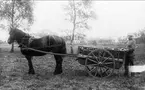 M/1930 i w, bärbar radiostation på signalkärra, signalavd.