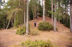 Hovinsholmen, Helgøya, Hedmark. Her ser en tydelig dimensjon
