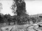 Bölets gruvor år 1918. Manganmalmen kördes med häst från gruvorna till järnvägen i Karlsborg. Mannen till vänster är Karl Gustafsson från klampabron, den andre är 