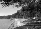 Karlsborg, campinglatsen vid Bottensjön Norra Skogen. Vykort.