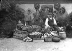 Forsvik, trädgårdsmästare Herman Petterssons handelsträdgård på herrgården omkr 1911. Från vänster Einar Bäckman, Fritz Forsberg, Mats Bäckman och Herman Pettersson.