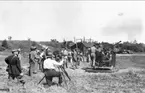 Provskjutning med 40 mm automatkanon på underbackens skjutplats 1933-34 för AB Bofors.