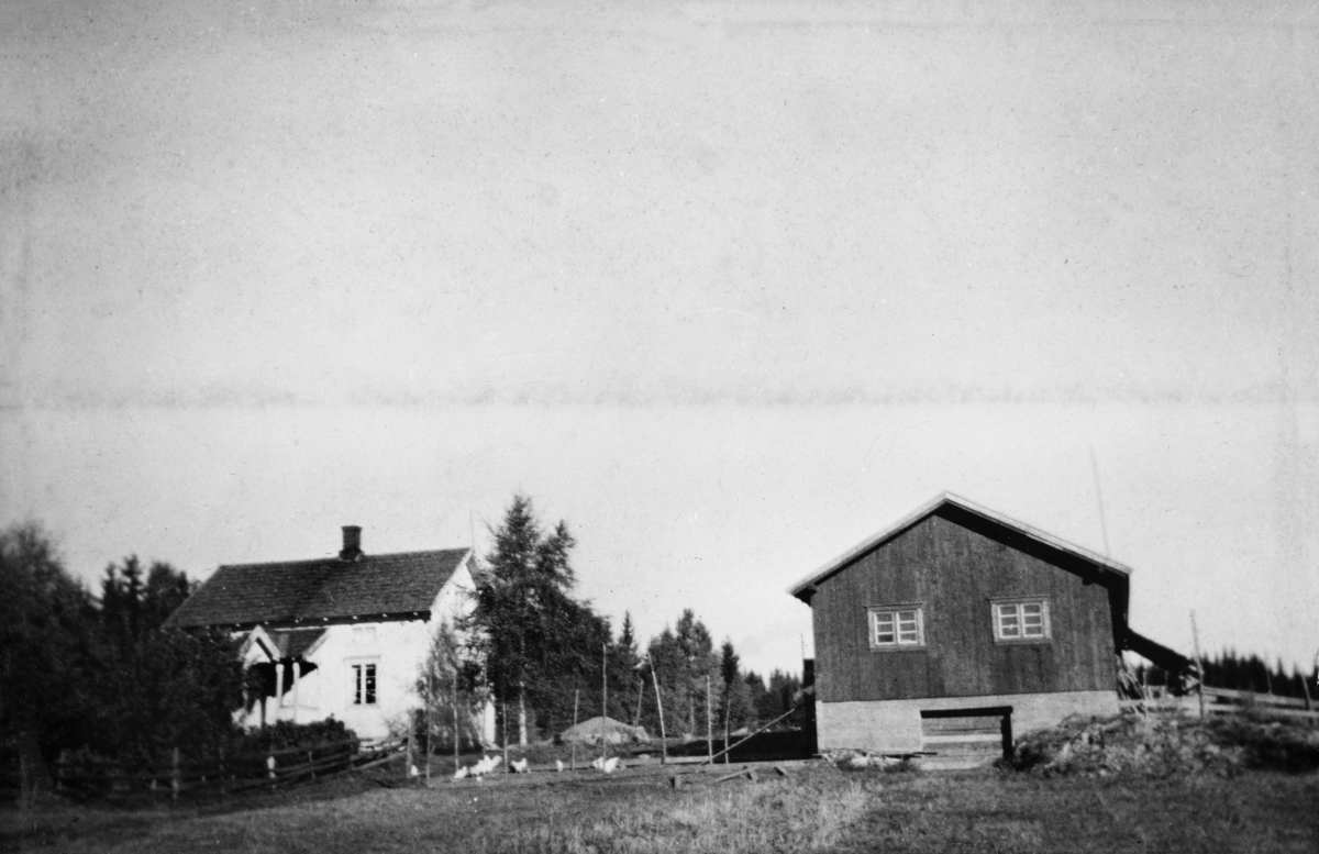 Vesterengen (85/3).  Fjøset er bygd i 1946. Bolighuset som var nytt da Granlifamilien kom hit i 1932 har ennå den originale spissen på verandataket