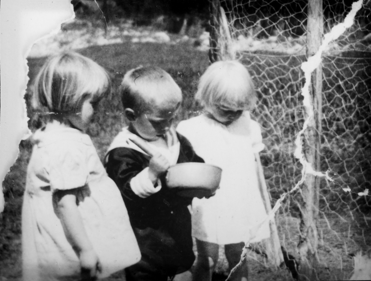 Barna i Vesterengen (85/3) mater hønene i 1934. Fv: Jenny, Leif og Aslaug Granli.