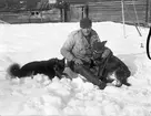 Oskar Steen, Södra Brändan med hundarna ute i snön