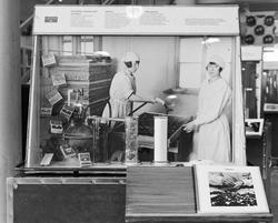 Dokumentation av den lilla utställningen av "Kulor, Krus och