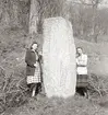 Abrahamstorpsstenen
Denna sten fördes till Dagsnäs 1792 från sin ursprungliga plats, vid gården Abrahamstorp i Barne-Åsaka socken. Idag står den stora stenen, 2,5 m hög och 1,05 m bred, utefter grusvägen som går ned förbi Bränneriet och ut över fälten. ca 5 meter från grusvägen vid skogskanten.
