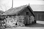 Stenskjul å Nord Bredegården (Engströms), Bjällum, rivet 1953.