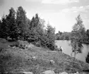 Vy från Hornborgaån omkring 1940.