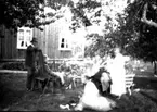 Härlunda socken. 
Från Milsmadens trädgård.
1920-tal.