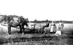 Arrendator Samuel Sandén, Prästgården.
Nathan Sandén i ljusare hatt. Han övertog arrendet 1919. 
(fram till 1925).

Reprofotograf: Gunnar Berggren.