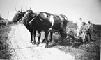 Åsen omkring 1925.
Fr.v:
1. Elin Johansson
2. Gustav Johansson
3. Bertil Johansson (Gustavsson)